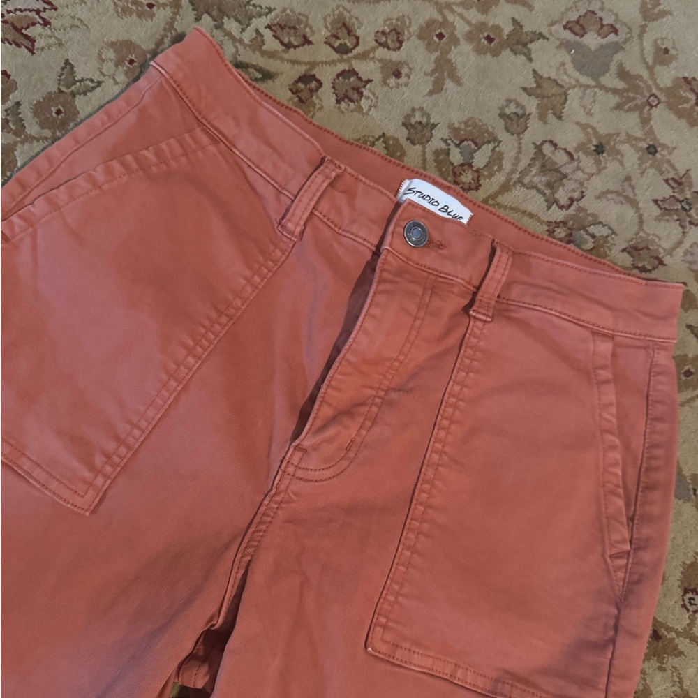 Studio Blue Terracotta Pants